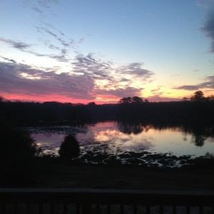 Meet your Posher, Shawn